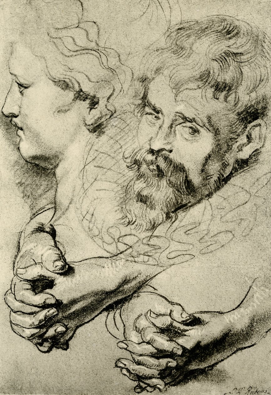 Estudios de cabeza y mano de Peter Paul Rubens