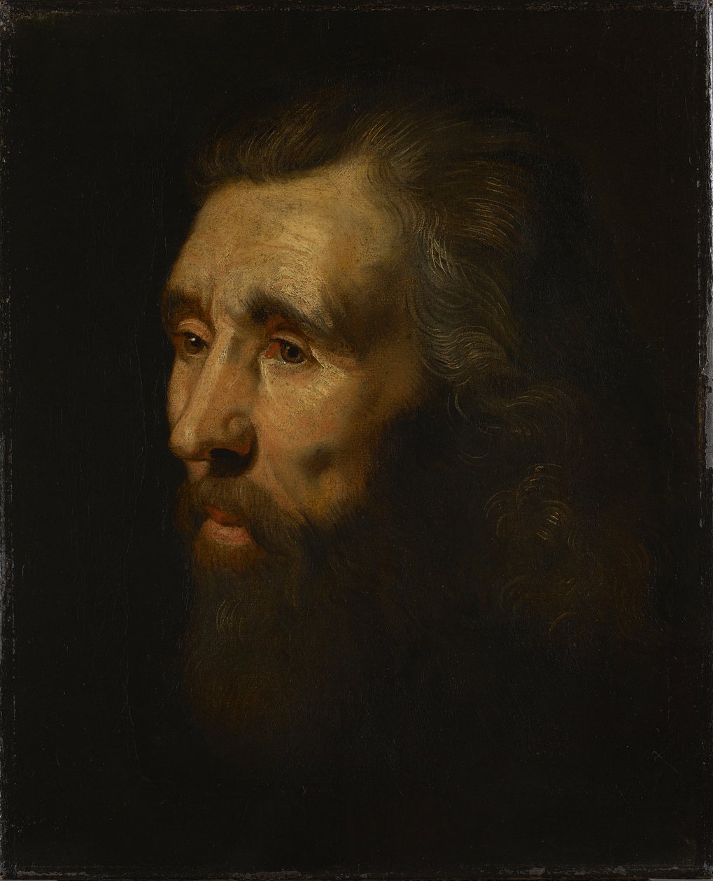 Cabeza de un hombre con barba de Peter Paul Rubens