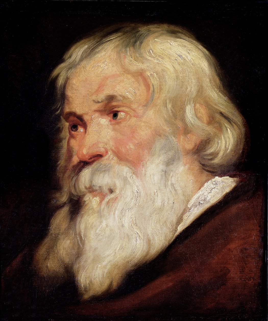 Cabeza de un anciano de Peter Paul Rubens