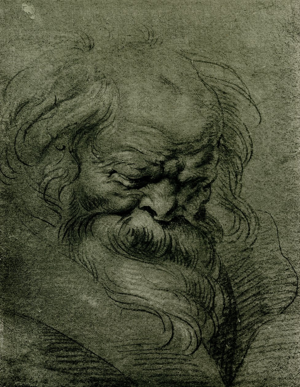 Estudio de cabeza para Baco de Peter Paul Rubens