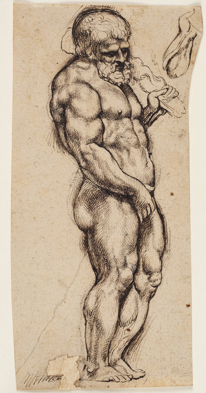 Hércules de Peter Paul Rubens