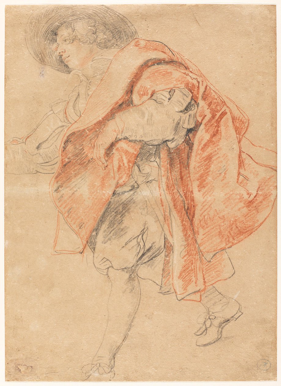 Un joven bajando unas escaleras de Peter Paul Rubens