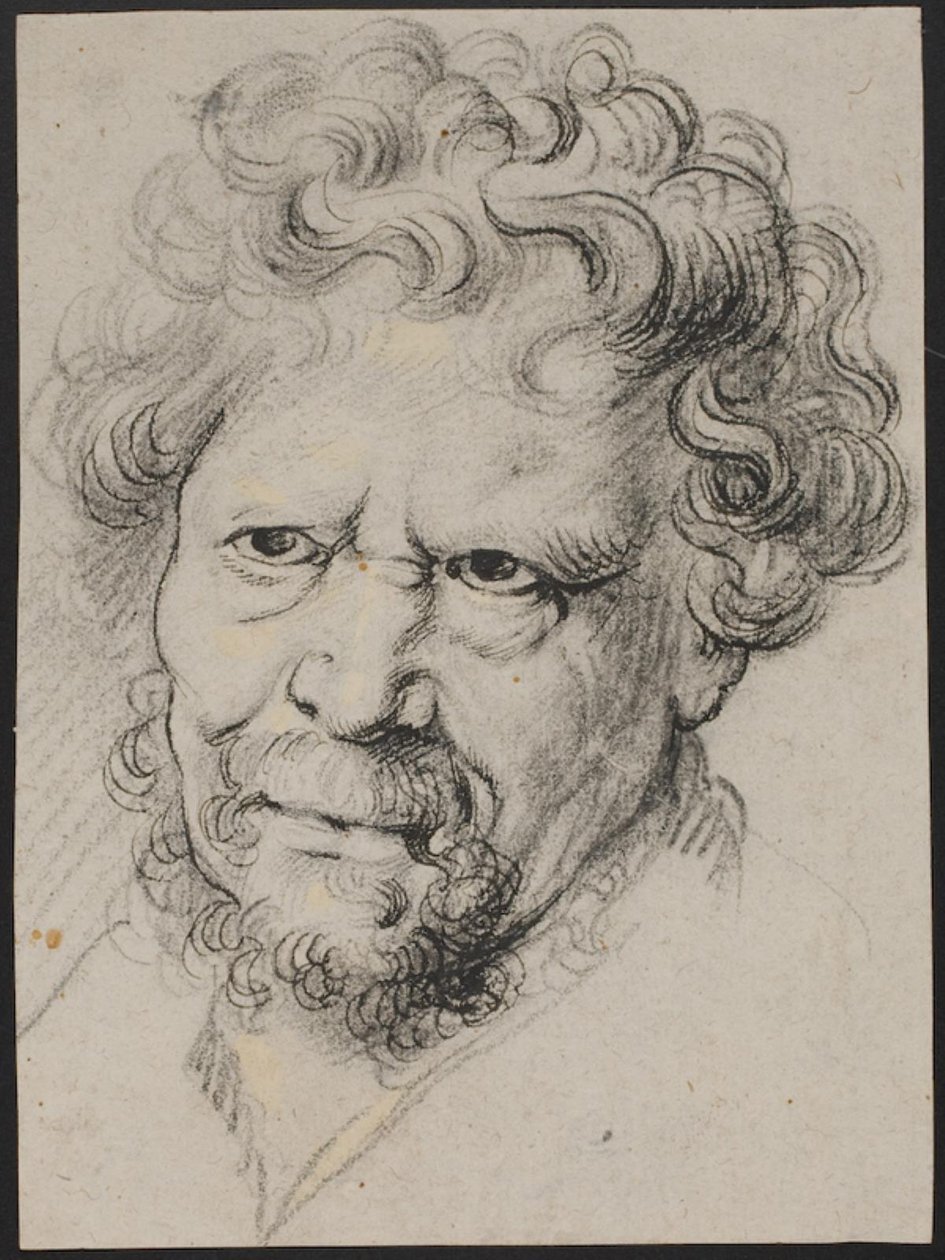 Cabeza de hombre de Peter Paul Rubens