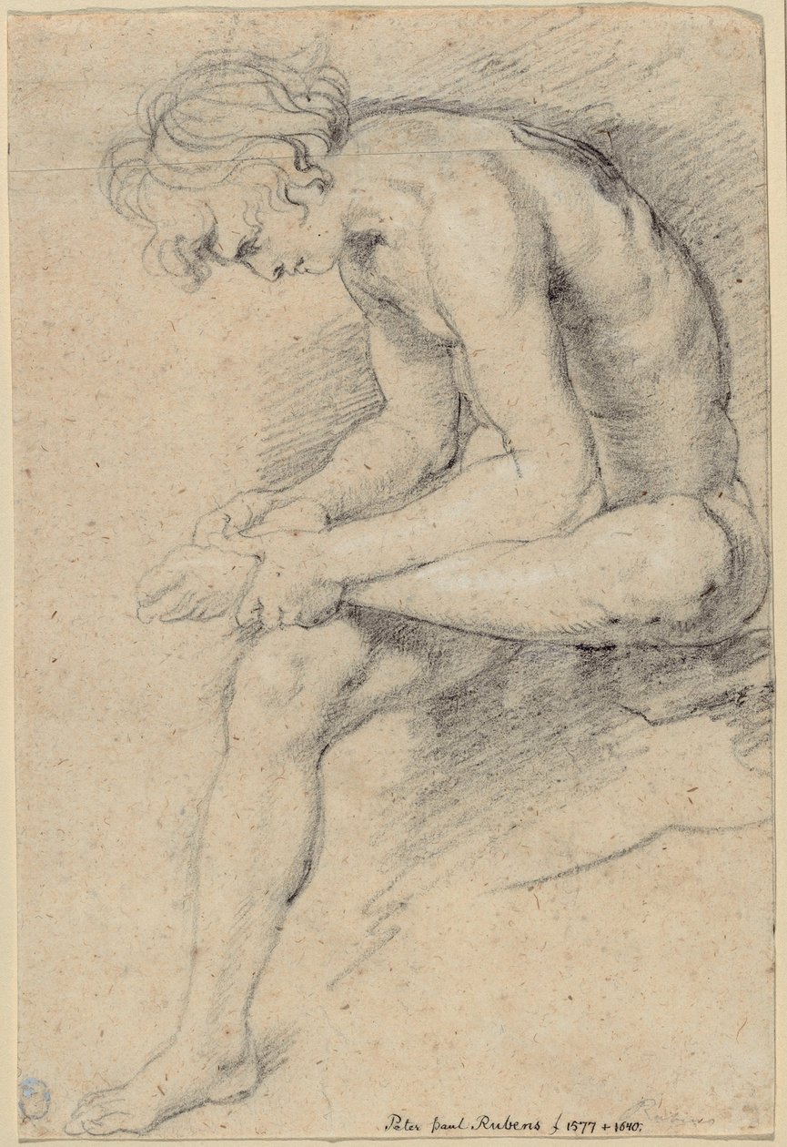 Joven desnudo en la pose del Spinario de Peter Paul Rubens