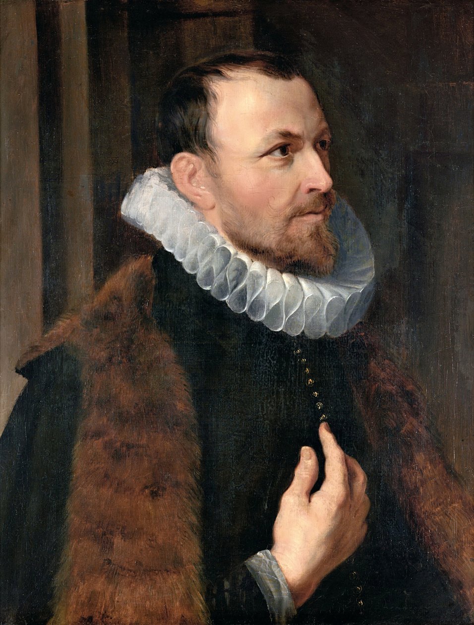 Retrato de Nicolaas Rockox, 1615 de Peter Paul Rubens