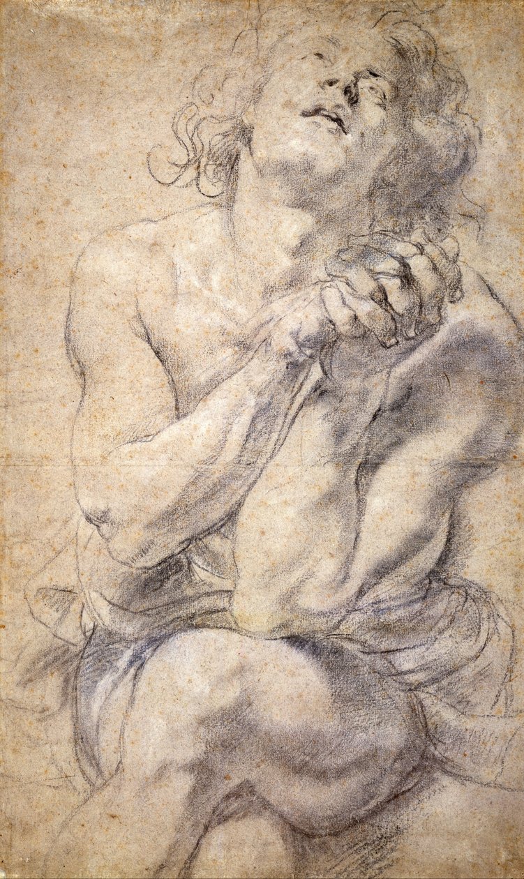 Joven masculino sentado (Estudio para Daniel) de Peter Paul Rubens
