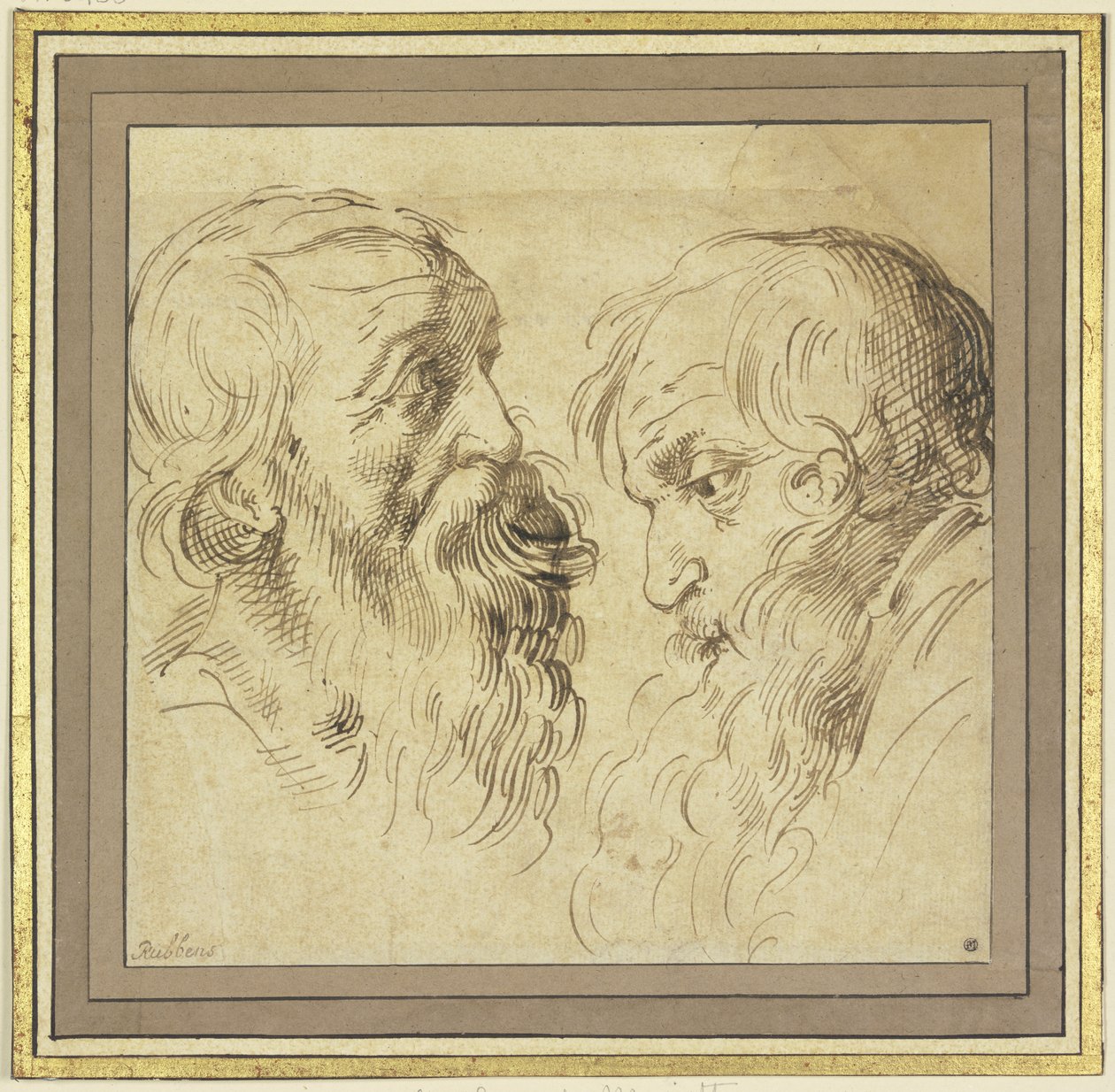 Hoja de estudio: Dos cabezas con barba de perfil, una hacia la derecha y otra hacia la izquierda de Peter Paul Rubens