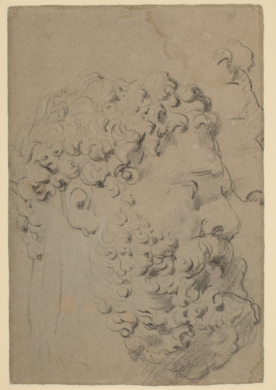 Estudios de la cabeza y perfil del Hércules Farnesio visto desde un punto de vista inferior de Peter Paul Rubens