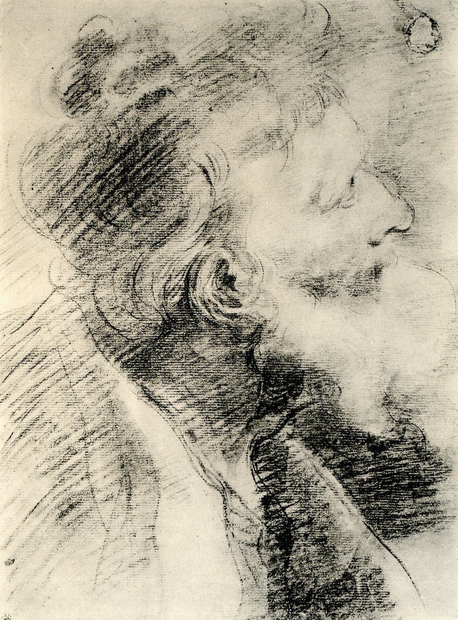 Estudio para la cabeza de un anciano, 1913 de Peter Paul Rubens