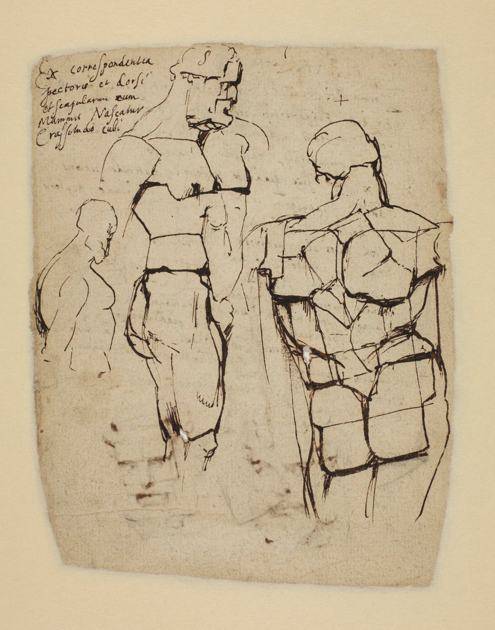 Estudio del Hércules Farnesio de Peter Paul Rubens