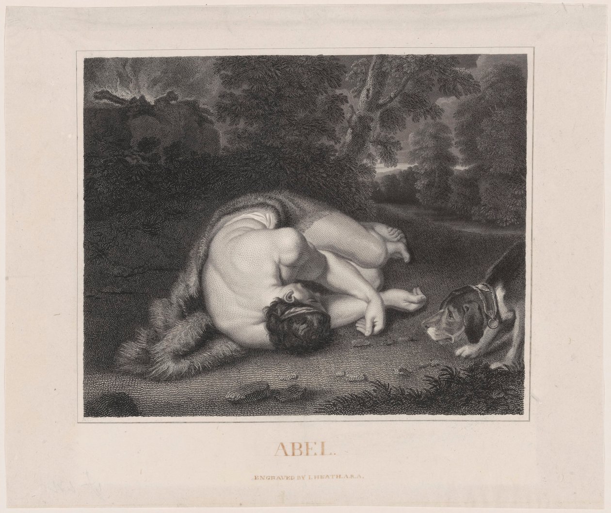 La muerte de Abel de Peter Paul Rubens