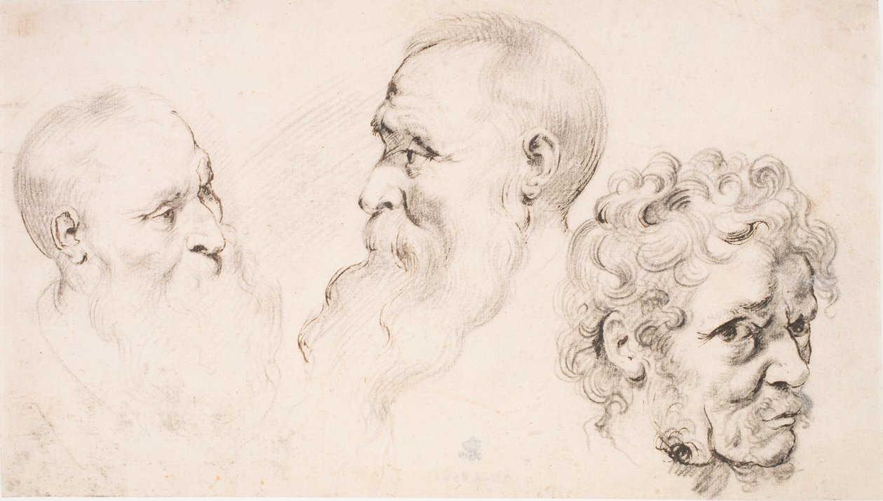 Tres cabezas de hombres de Peter Paul Rubens
