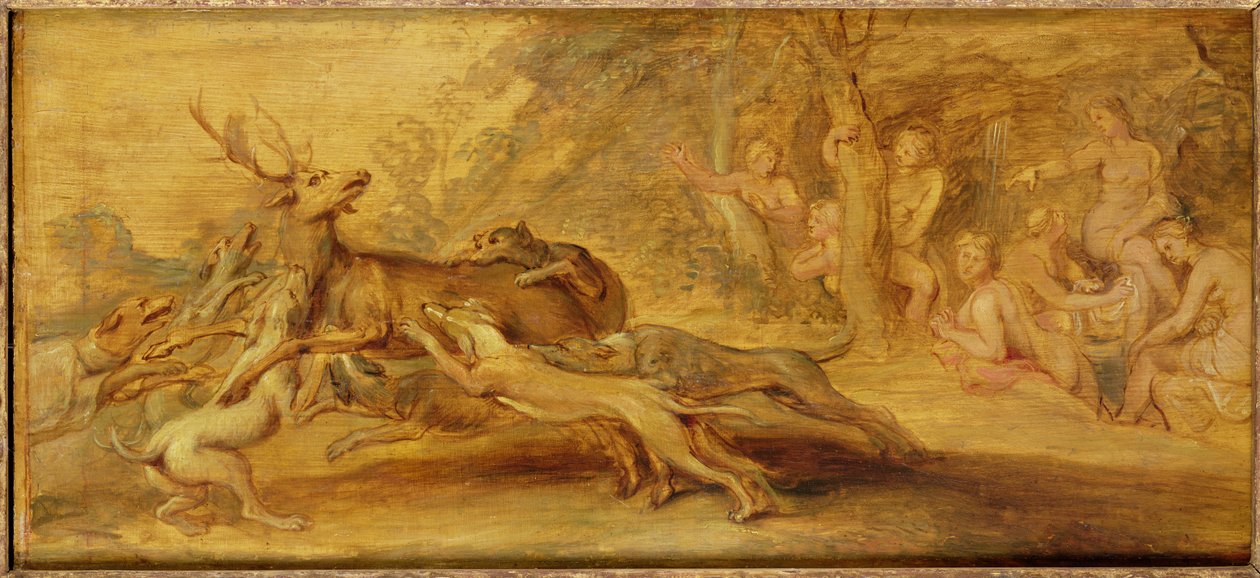 Imagen desconocida de Peter Paul Rubens