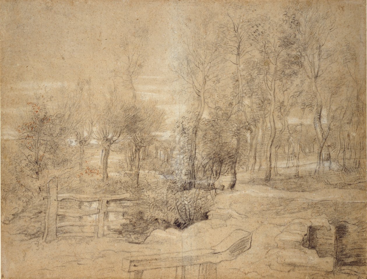 Escena del Bosque de Peter Paul Rubens