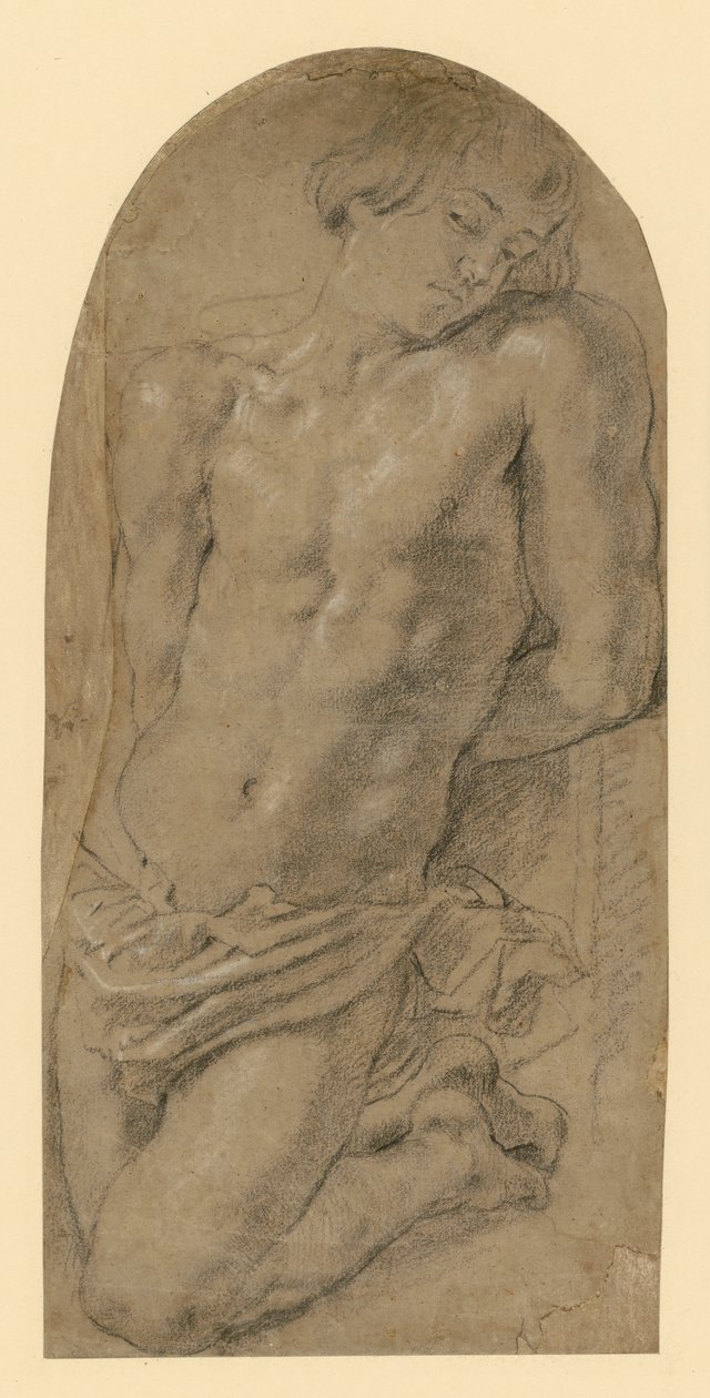 Joven arrodillado a la izquierda con las manos atadas a la espalda. (Estudio preliminar para Isaac en el cuadro "El sacrificio de Abraham"). de Peter Paul Rubens