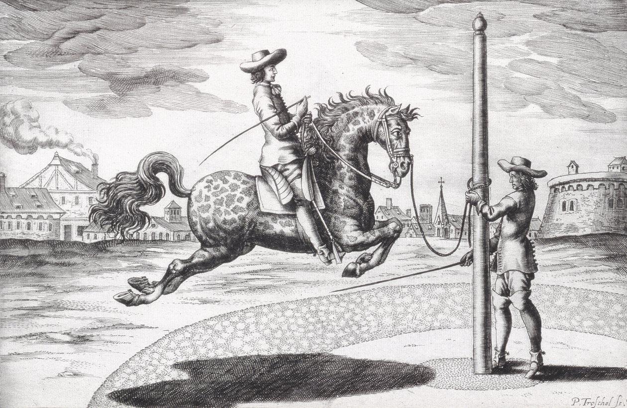 Un caballo en cabriola del Nuevo Tratado para la Cría de Caballos, grabado por el artista, pub. 1672 de Peter Paul Troschel