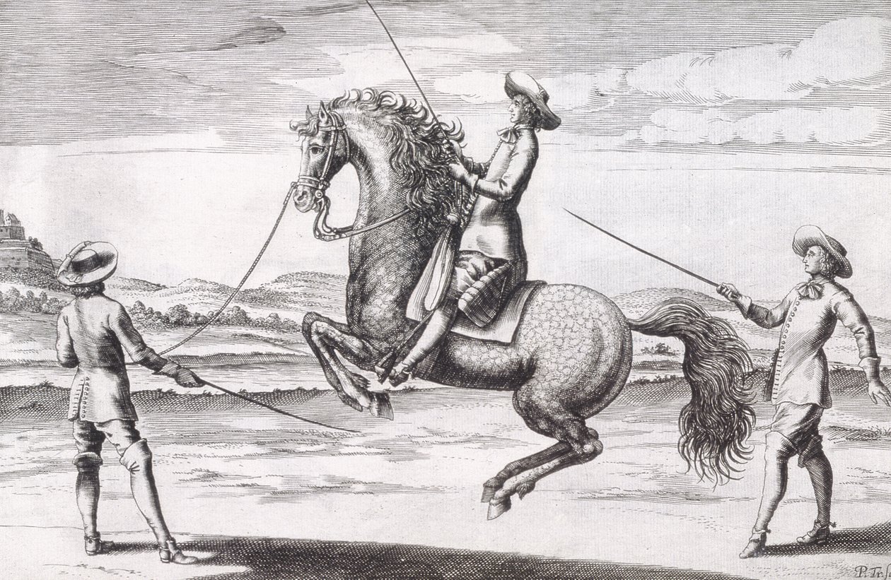 Ilustración de un caballo en Croupade del Nuevo Tratado para la Cría de Caballos escrito por Winters, Stuterey y Reit-Schul, pub. 1672 de Peter Paul Troschel