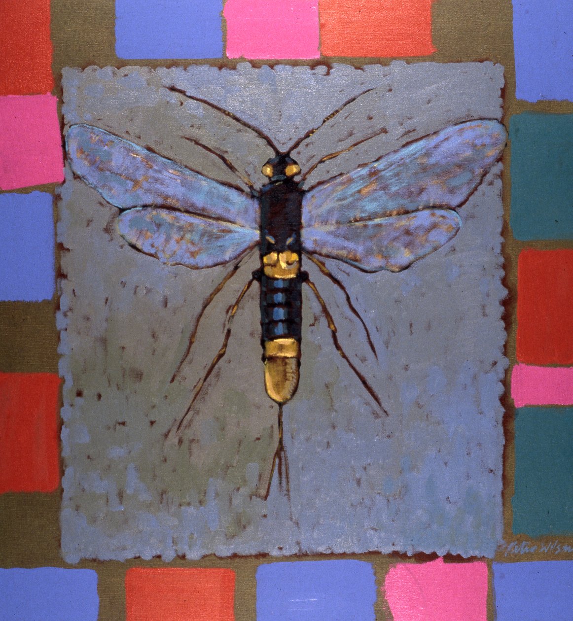 Colacuerno gigante de Peter Wilson