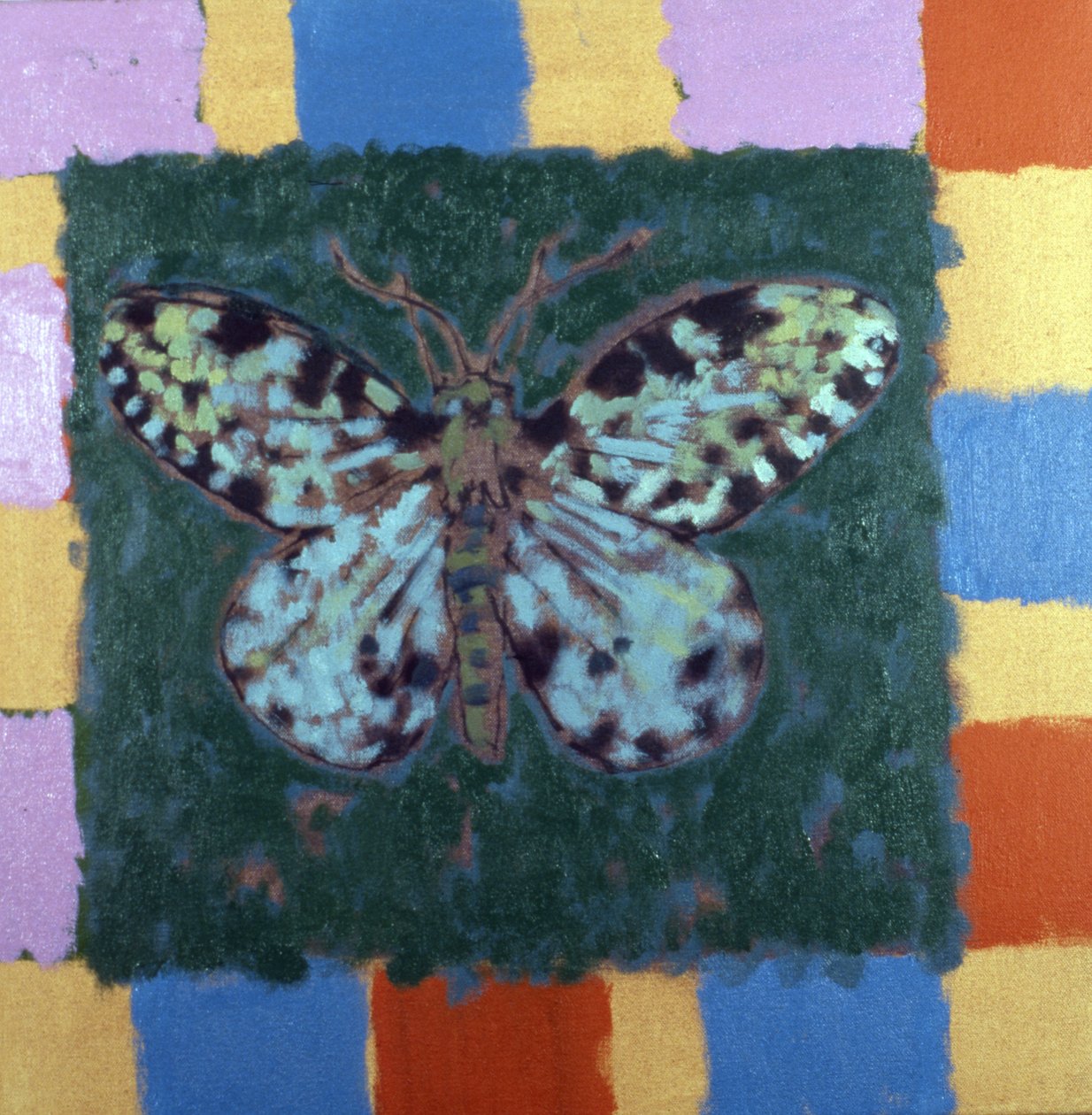 Polilla leopardo de Peter Wilson