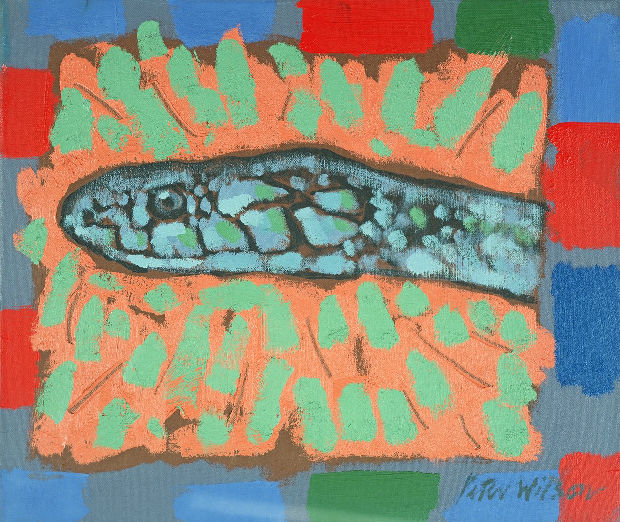 Cabeza de serpiente de Peter Wilson