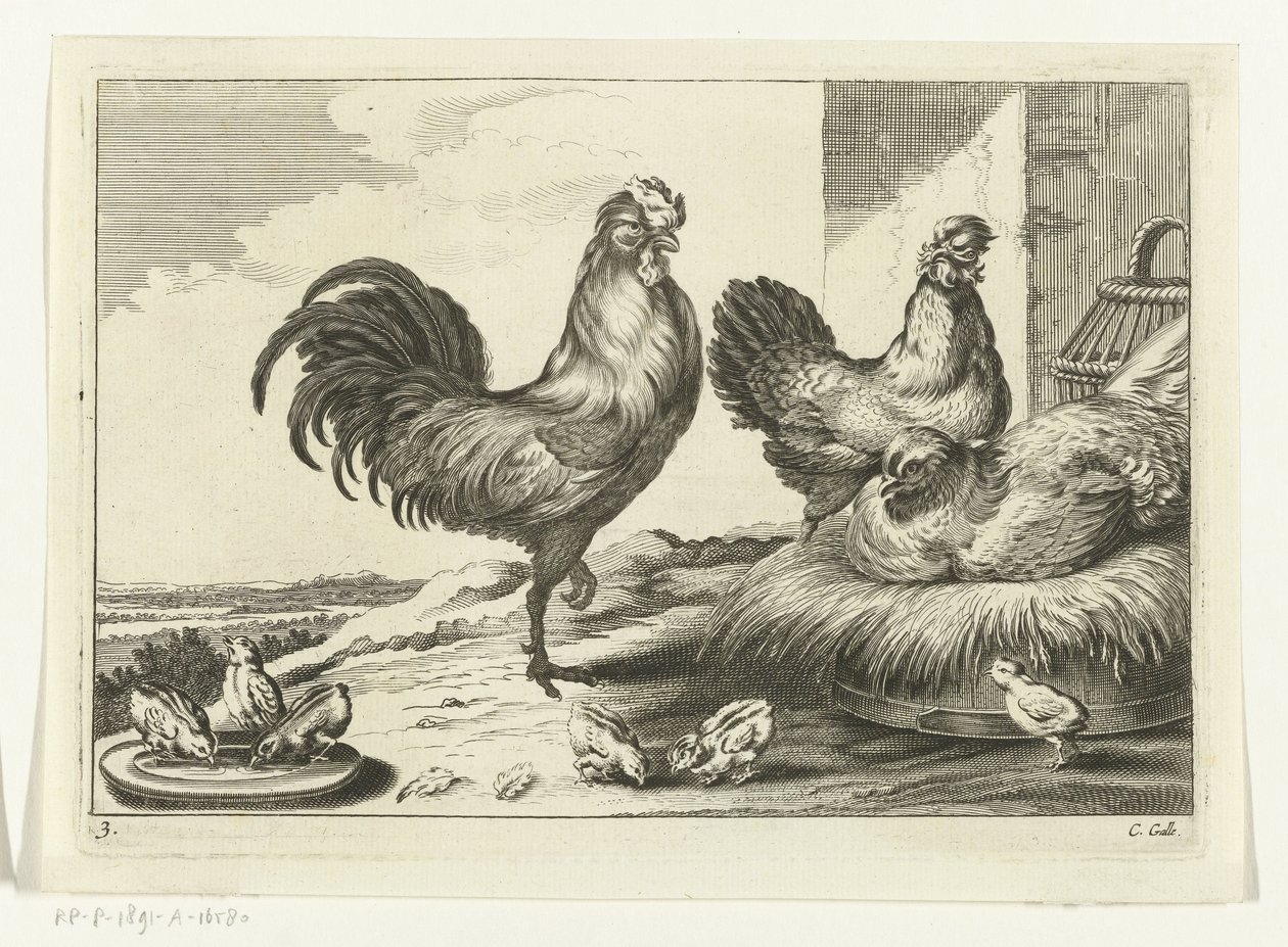 Gallina, gallos y pollitos Especies de Diversarum avium (título de la serie) Aves diferentes (título de la serie) de Peter van Liesebetten