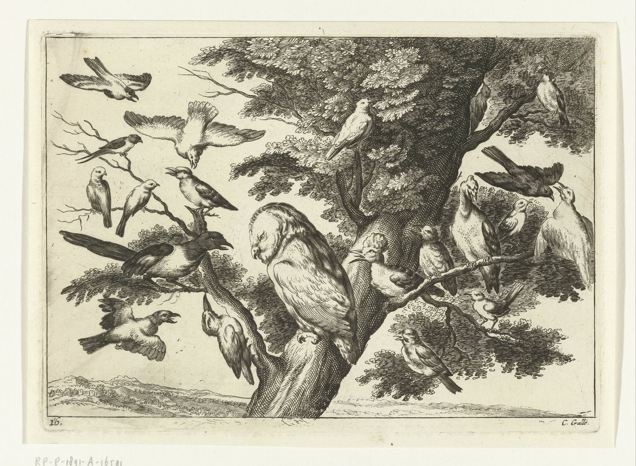 pájaros en un árbol Especies de Diversarum avium (título de la serie) Aves diferentes (título de la serie) de Peter van Liesebetten