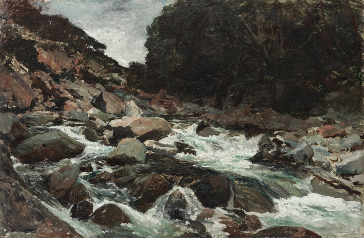 Arroyo de montaña, Garganta de Otira de Petrus van der Velden