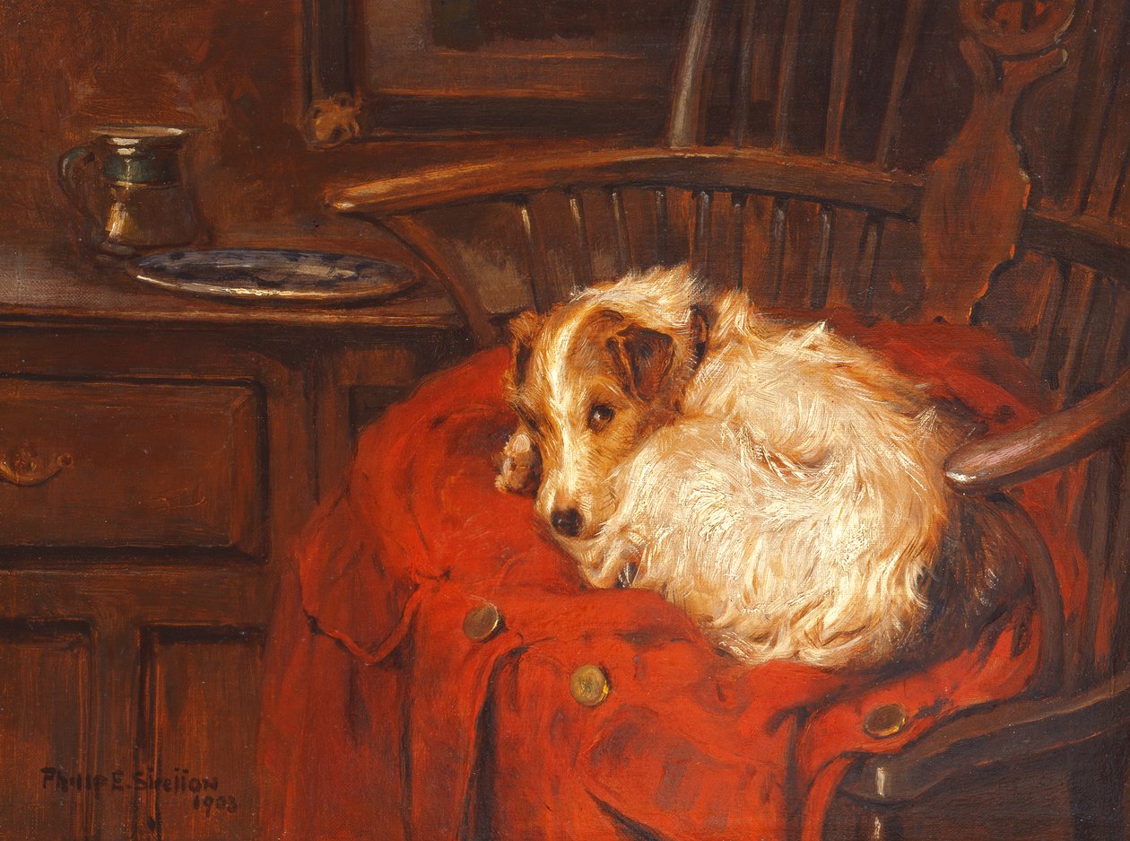 Una silla favorita, 1903 de Philip Eustace Stretton