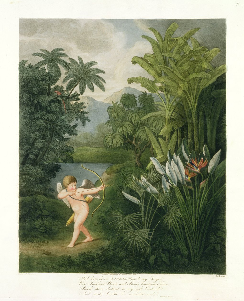 Paisaje con Cupido apuntando una flecha a un loro o flor de reina, de 