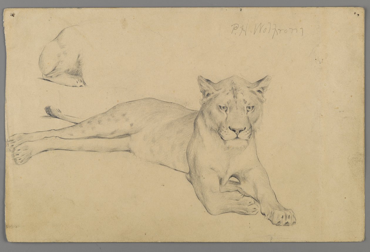 Leona sentada de Philip H. Wolfrom