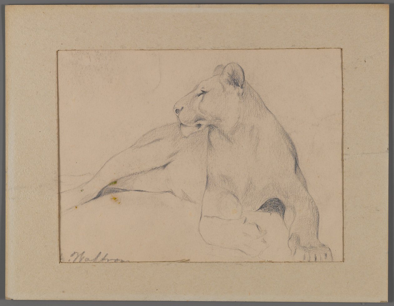 Leona sentada de Philip H. Wolfrom