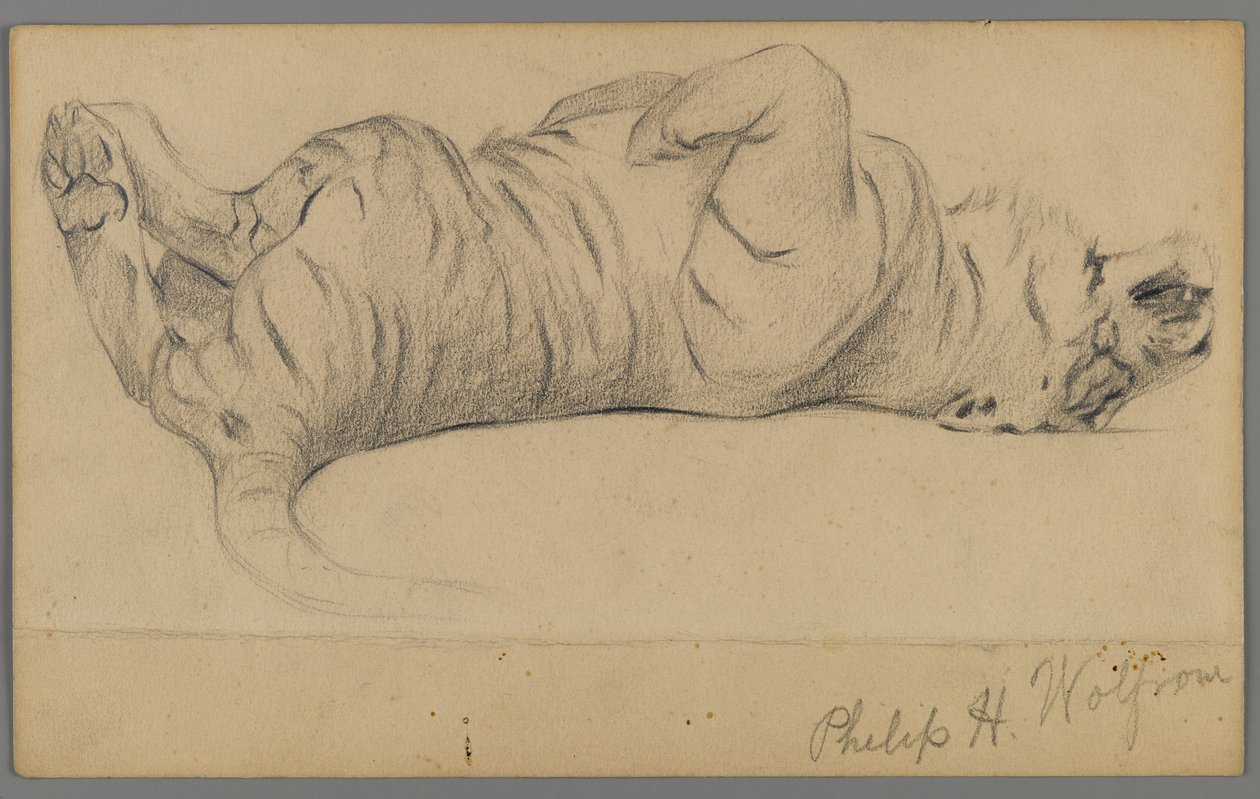Tigre durmiendo de Philip H. Wolfrom