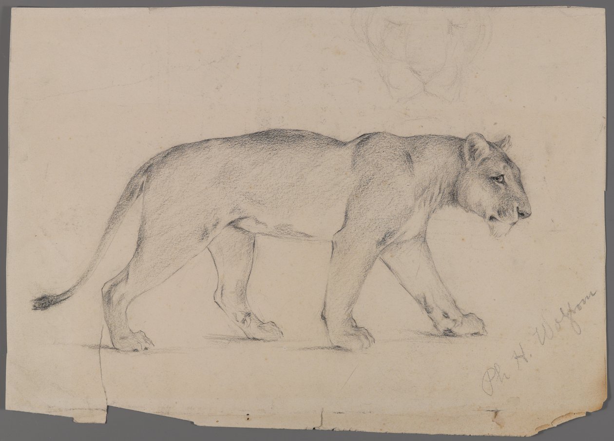 Leona caminando de Philip H. Wolfrom