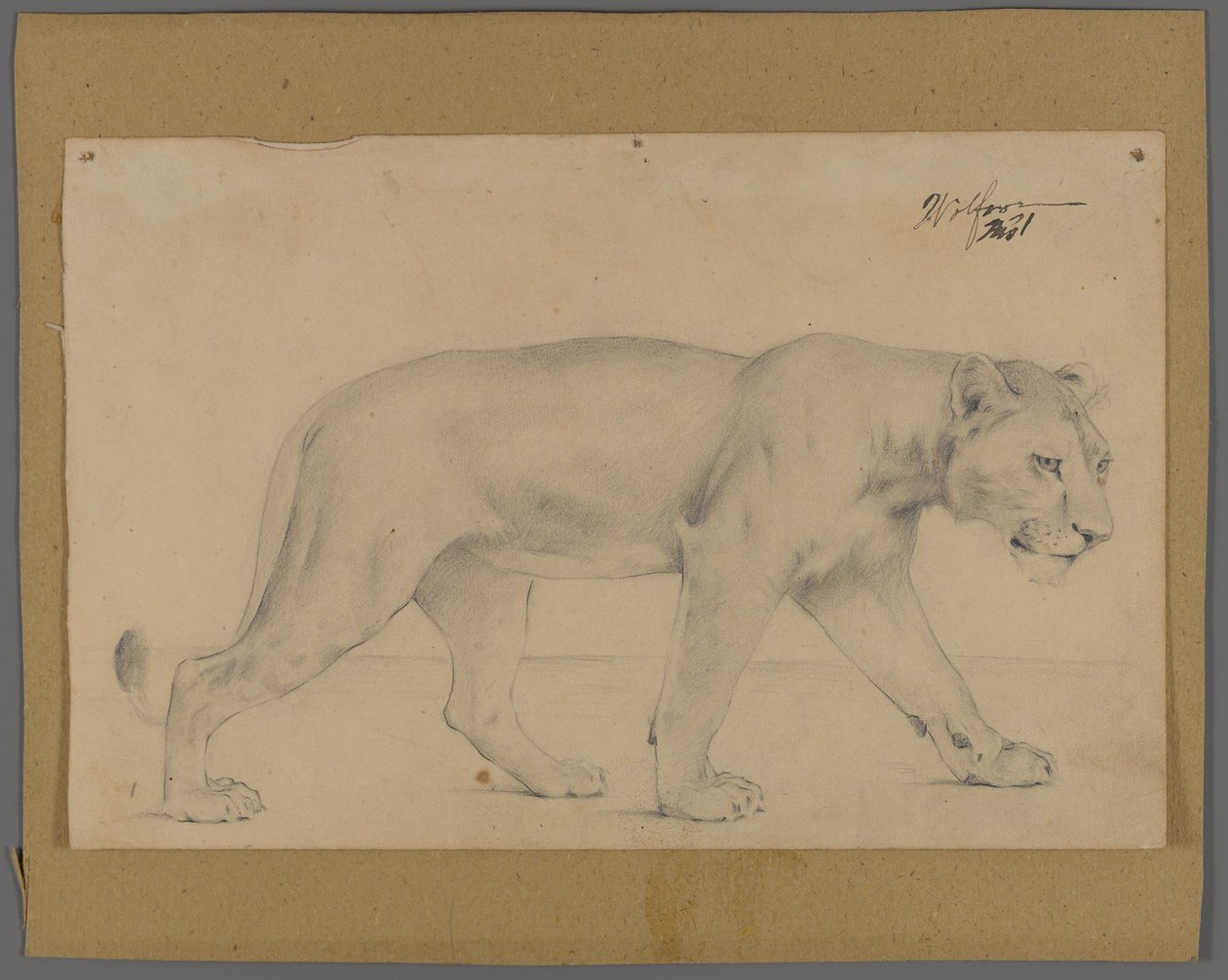 Leona caminando de Philip H. Wolfrom