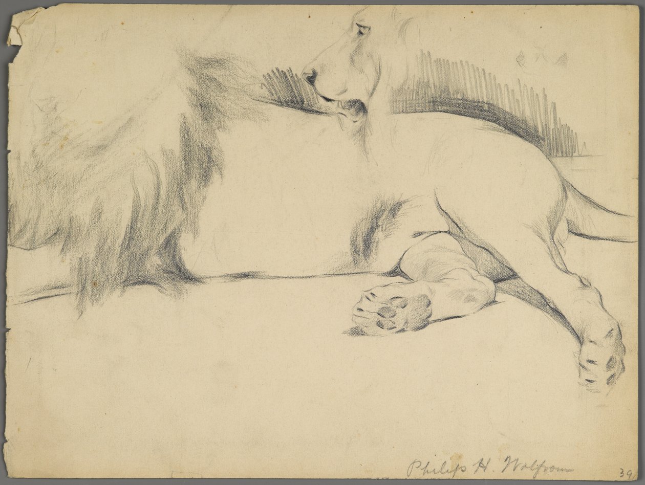Estudios de un león de Philip H. Wolfrom