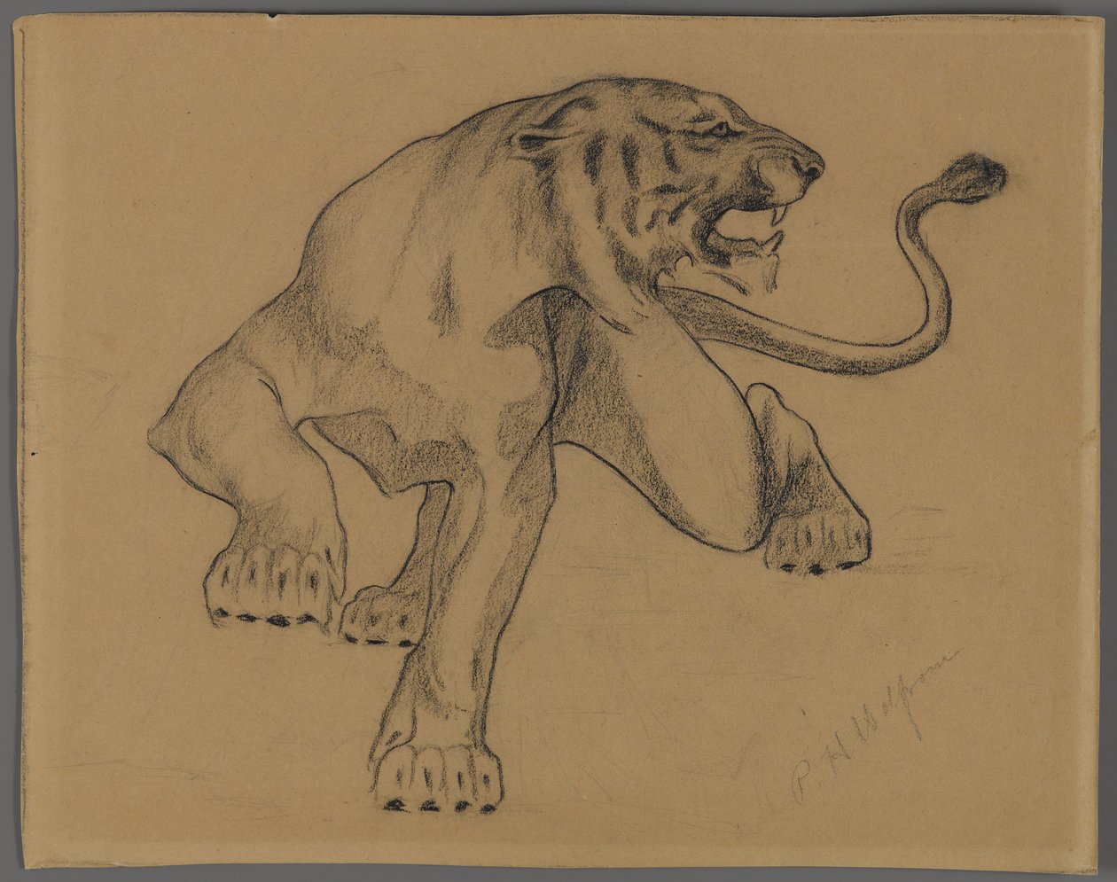 Tigre de Philip H. Wolfrom