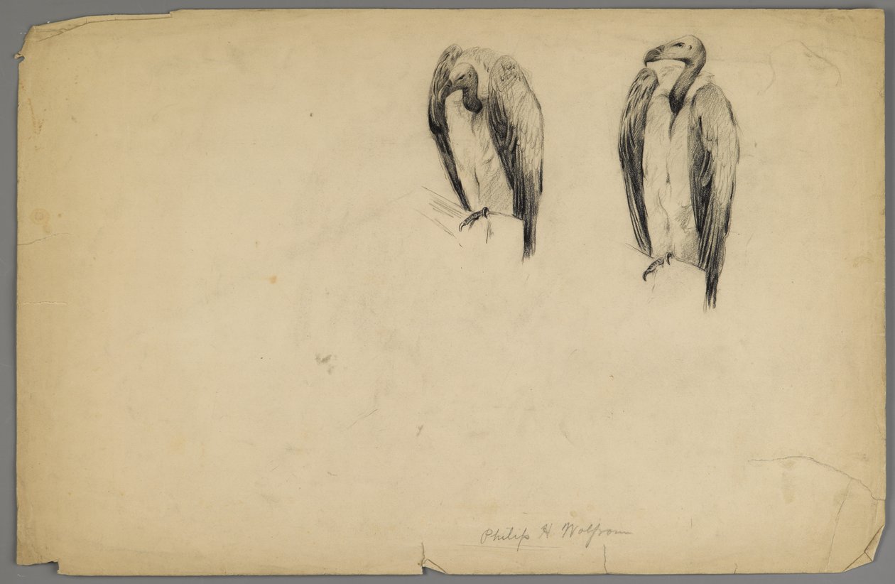 Buitres de Philip H. Wolfrom