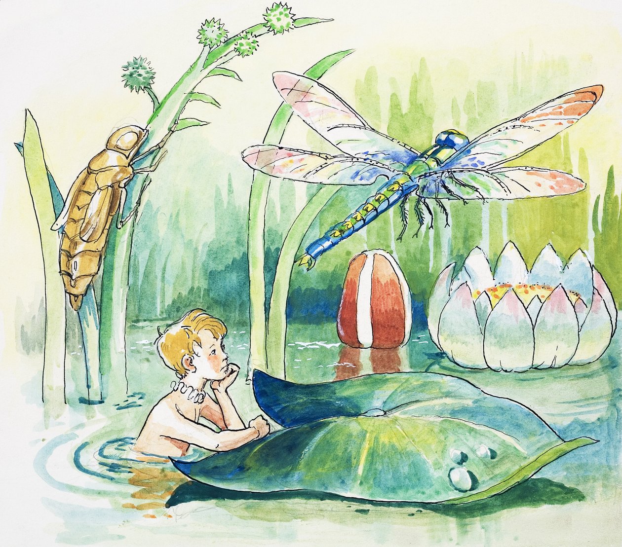 Libélula, ilustración de "The Water Babies" de Charles Kingsley de Philip Mendoza