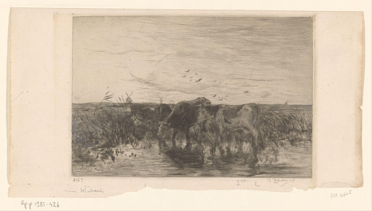 Vacas cerca del agua en un prado
Vaches au bord de l