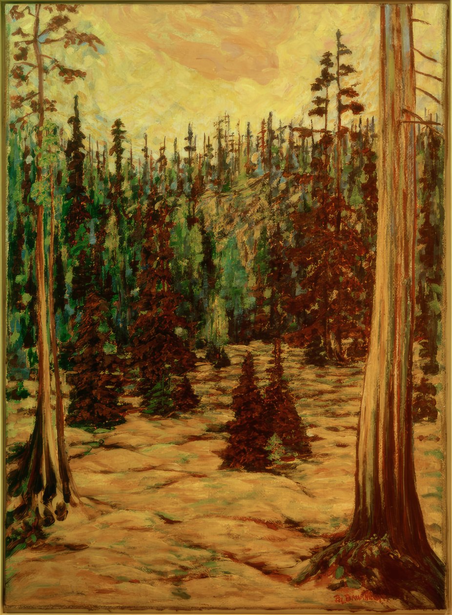 Bosque de verano de Philipp Bauknecht