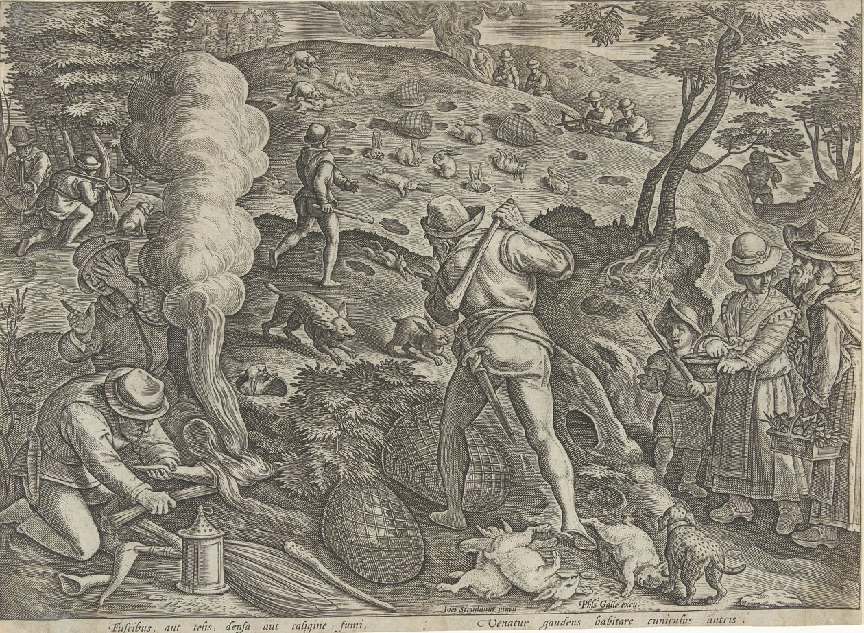 Konijnenjacht Jachttaferelen (título de la serie) En el que todo tipo de caza, caza de aves y pesca (título de la serie) de Philips Galle (possibly)