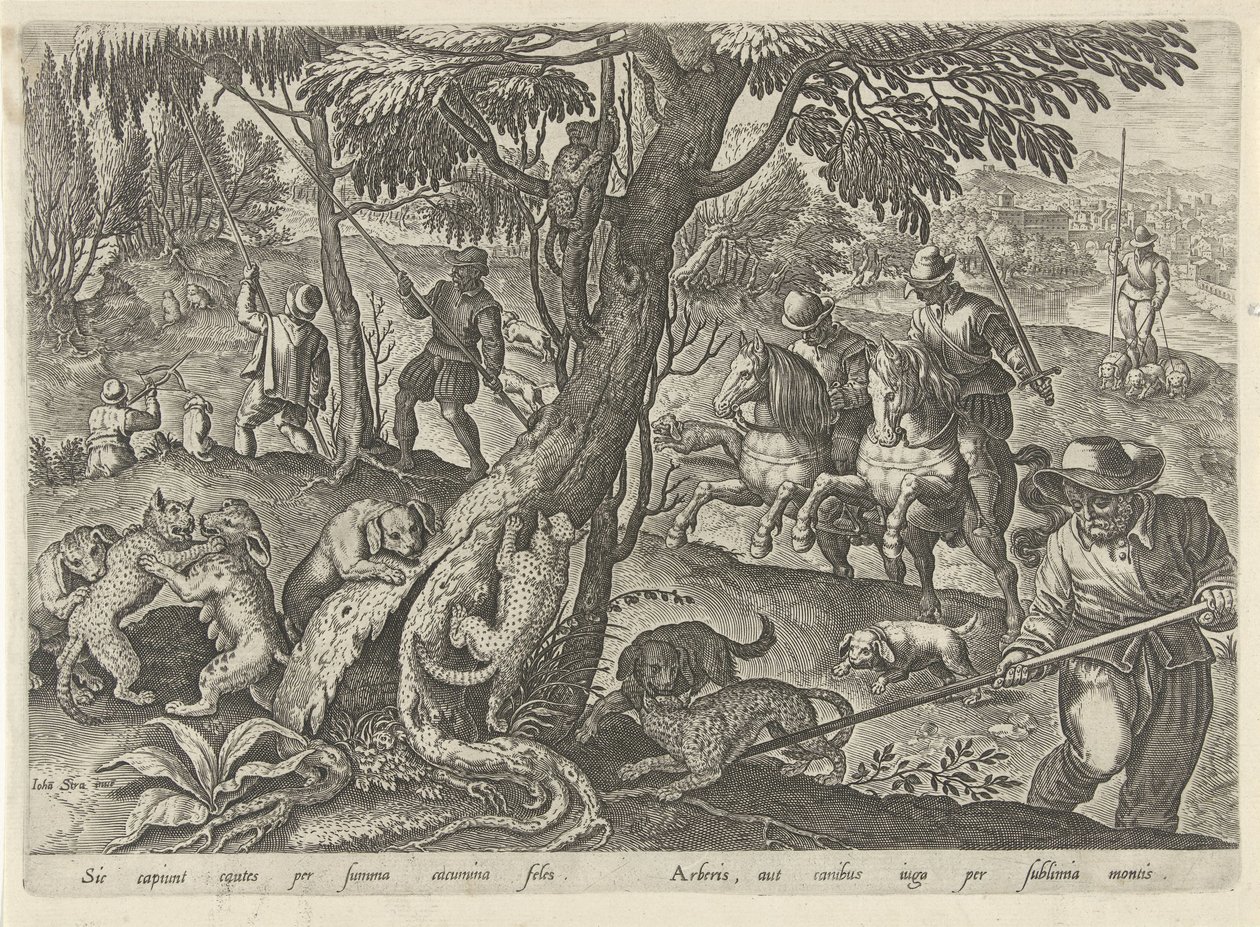 Jacht op wilde katten Jachttaferelen (título de la serie) En el que todo tipo de caza, caza de aves y pesca (título de la serie) de Philips Galle