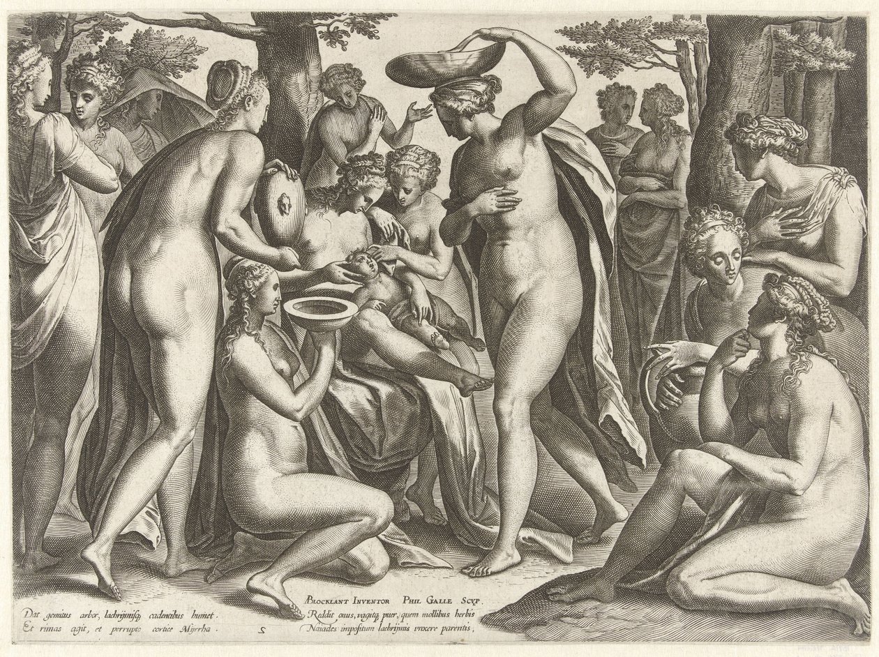Educación de Adonis La historia de Adonis (título de la serie) de Philips Galle