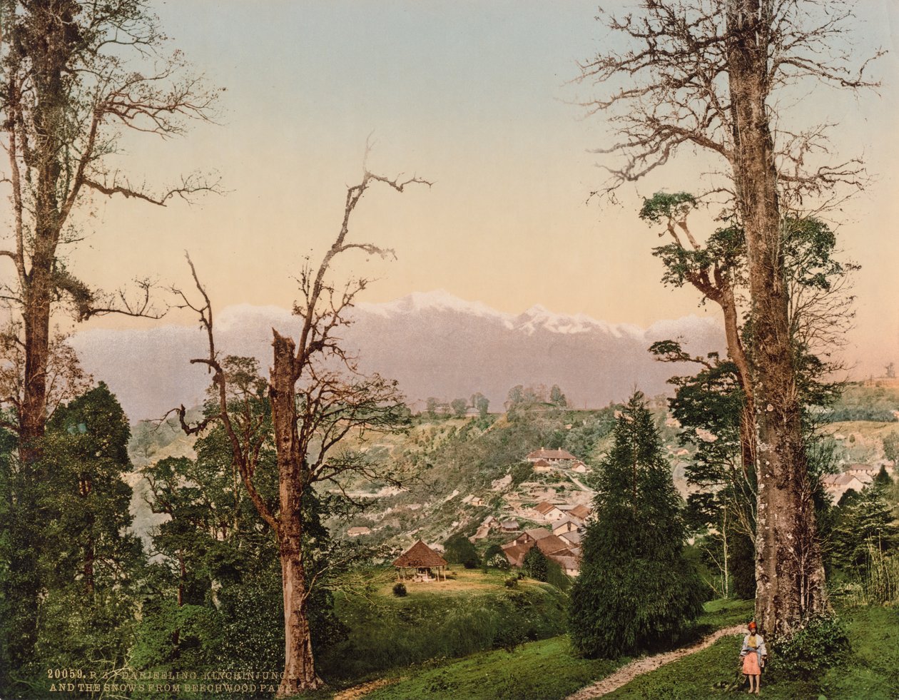 Darjeeling. Kinchinjunga y las nieves de Beechwood Park de Photoglob Co. (Zurich, active c. 1890 1910)