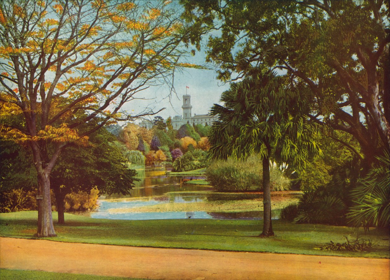  de Photographer Australian