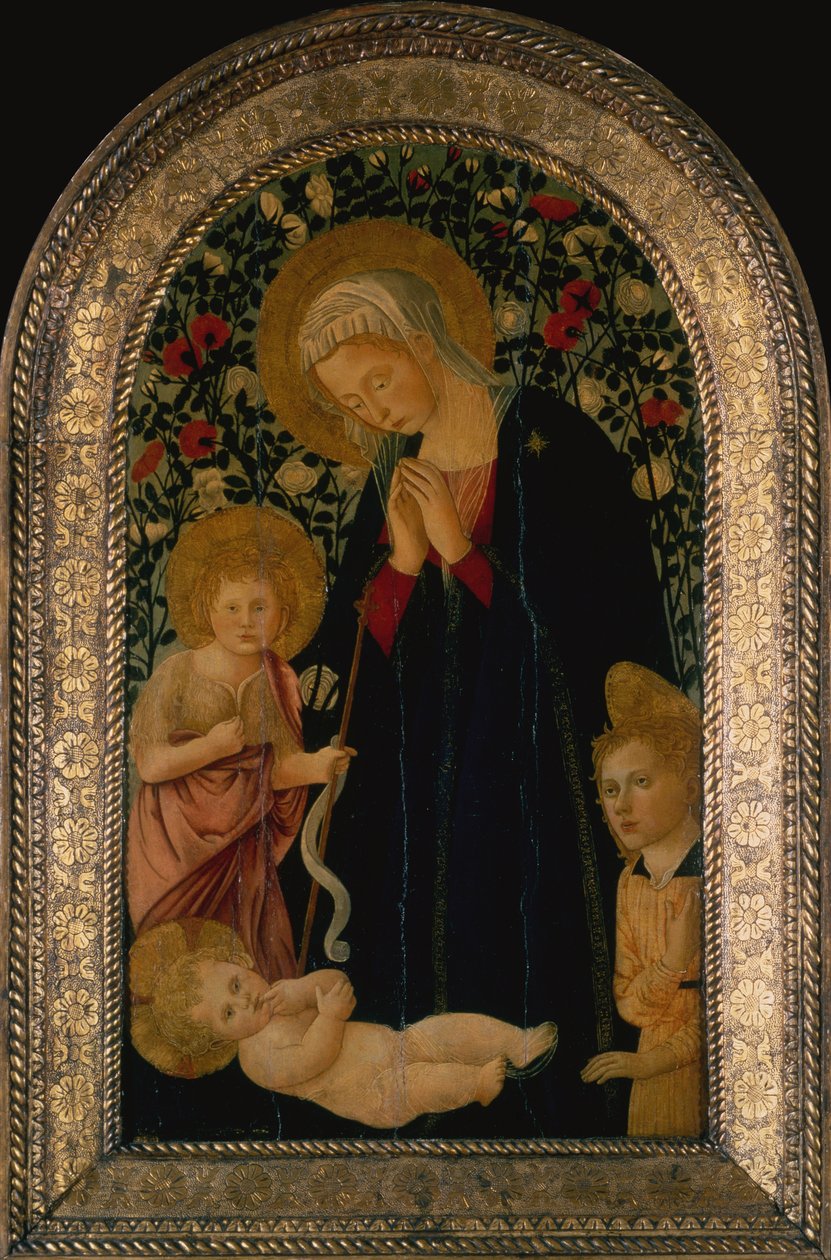 La Madonna adorando al niño con el infante San Juan Bautista, ángel y seto de rosas detrás de Pier Francesco Fiorentino