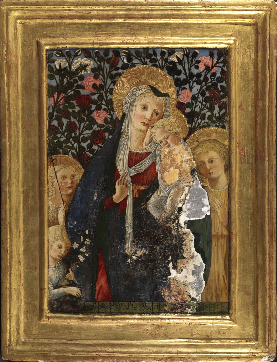 Virgen y Niño con el Infante San Juan, Santa Isabel y un niño con un jarrón de lirios, 1450-59 de Pier Francesco Fiorentino