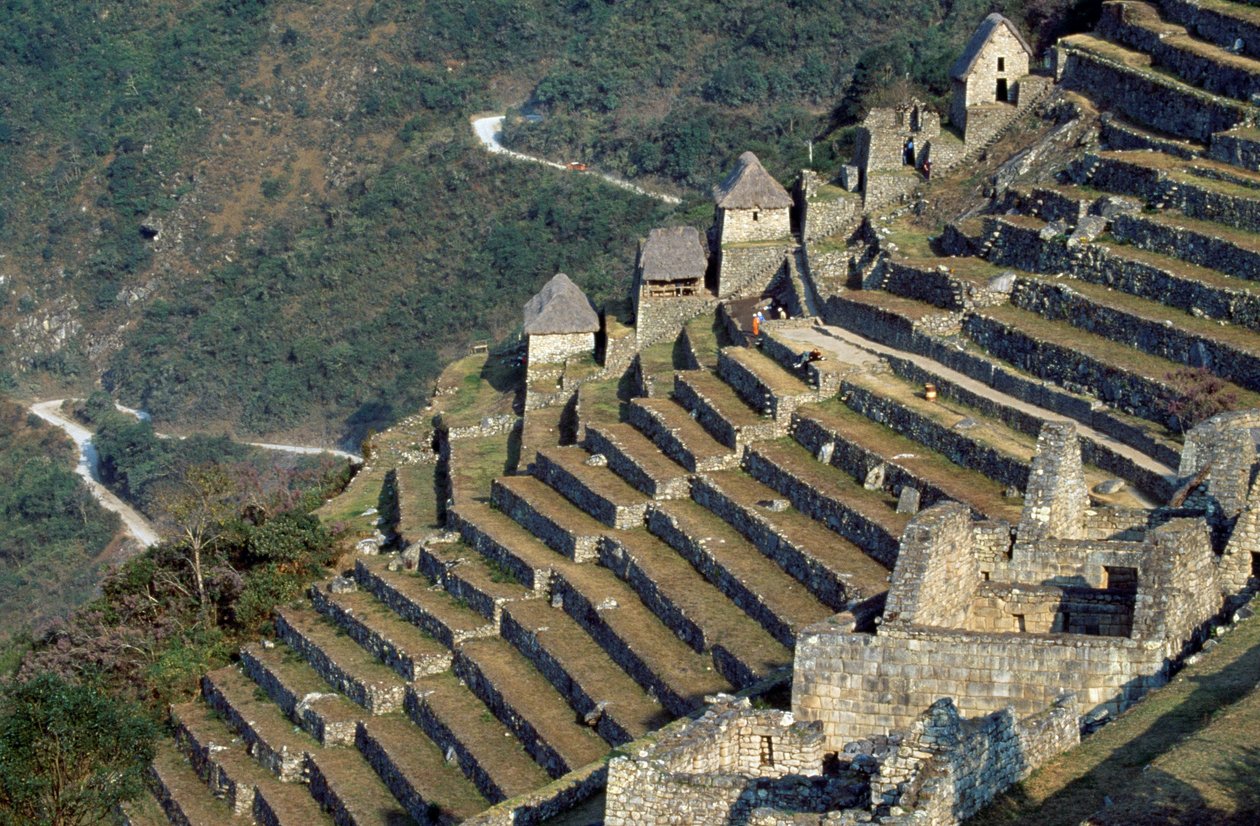 Terrazas, Machu Picchu (Lista del Patrimonio Mundial de la UNESCO) de Blaise Nicolas Le Sueur