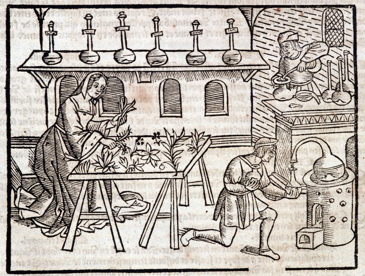 Medicina a través de las plantas y sus virtudes - en “Des profits champêtres et ruraux” por Pierre de Crescent, París de Piero da Crescentino