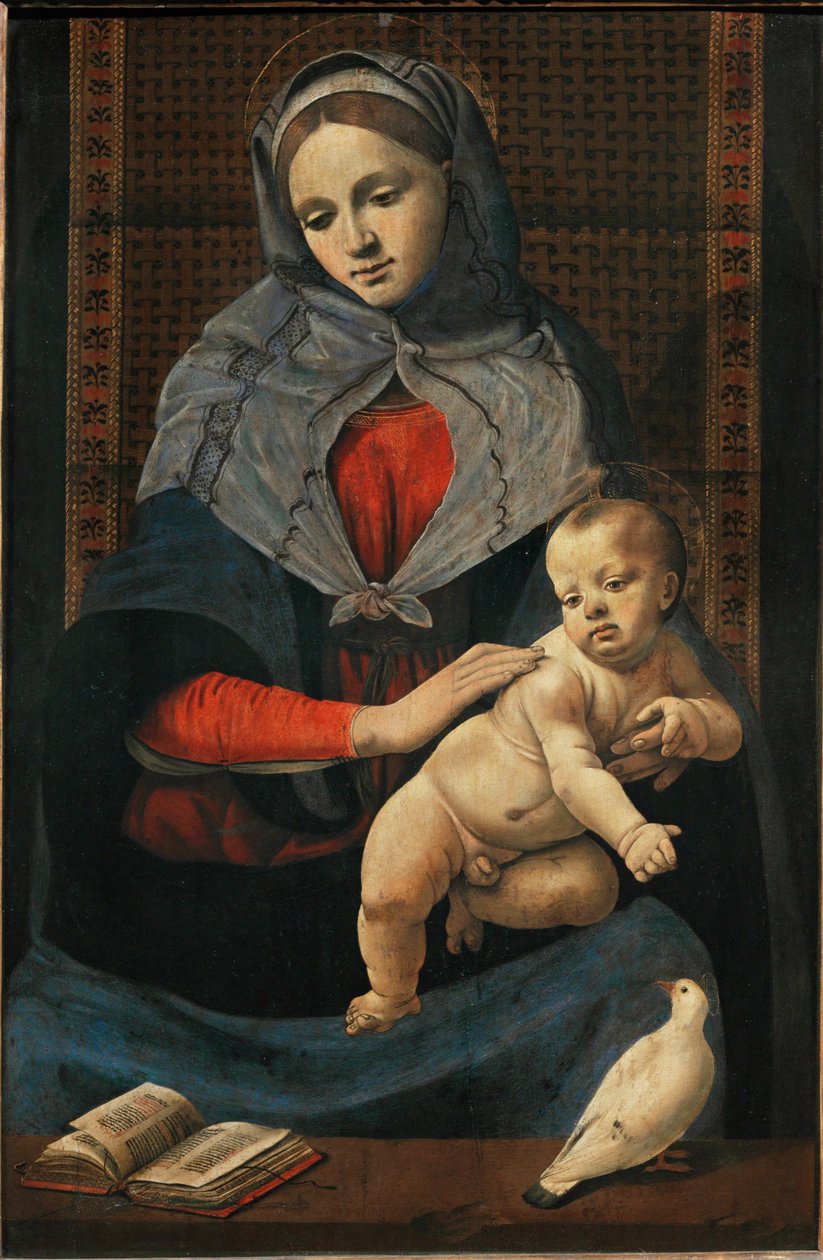 Virgen con el niño y una paloma ... de Piero di Cosimo